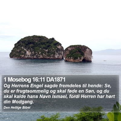 1 Mosebog 16:11 DA1871 Bible Verse Image