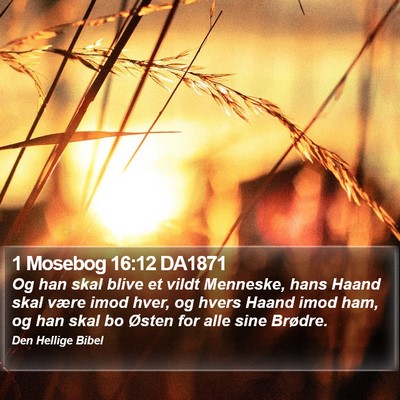 1 Mosebog 16:12 DA1871 Bible Verse Image