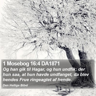 1 Mosebog 16:4 DA1871 Bible Verse Image