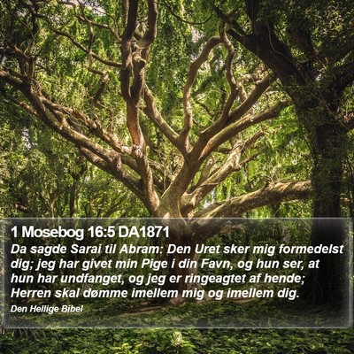 1 Mosebog 16:5 DA1871 Bible Verse Image