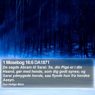1 Mosebog 16:6 DA1871 Bible Verse Image