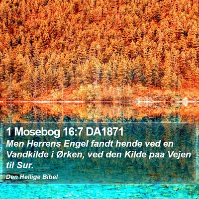 1 Mosebog 16:7 DA1871 Bible Verse Image