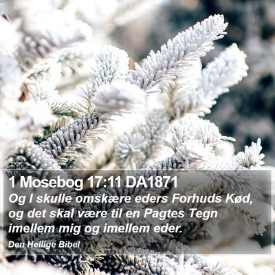 1 Mosebog 17:11 DA1871 Bible Verse Image