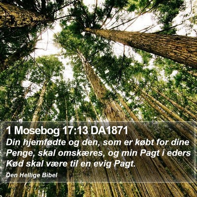 1 Mosebog 17:13 DA1871 Bible Verse Image
