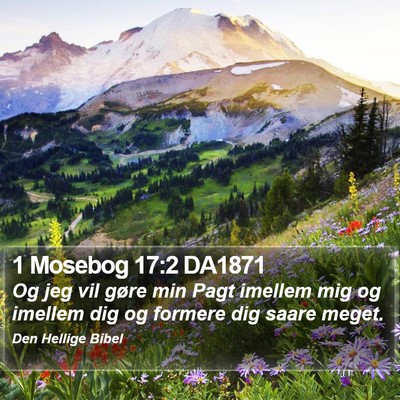 1 Mosebog 17:2 DA1871 Bible Verse Image