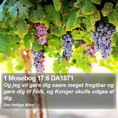 1 Mosebog 17:6 DA1871 Bible Verse Image