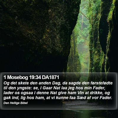 1 Mosebog 19:34 DA1871 Bible Verse Image