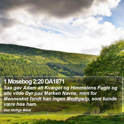 1 Mosebog 2:20 DA1871 Bible Verse Image