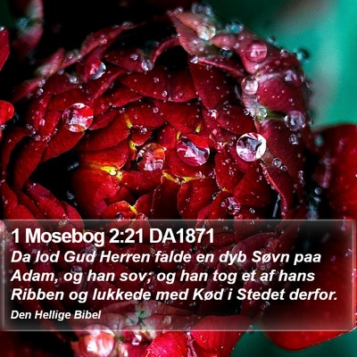 1 Mosebog 2:21 DA1871 Bible Verse Image