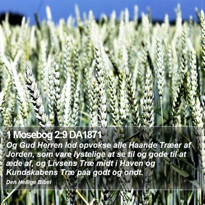 1 Mosebog 2:9 DA1871 Bible Verse Image