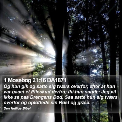 1 Mosebog 21:16 DA1871 Bible Verse Image