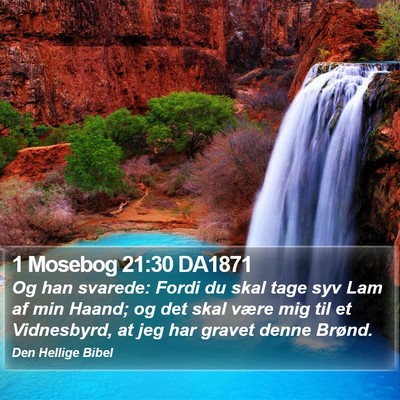 1 Mosebog 21:30 DA1871 Bible Verse Image