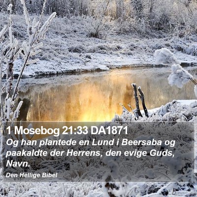 1 Mosebog 21:33 DA1871 Bible Verse Image
