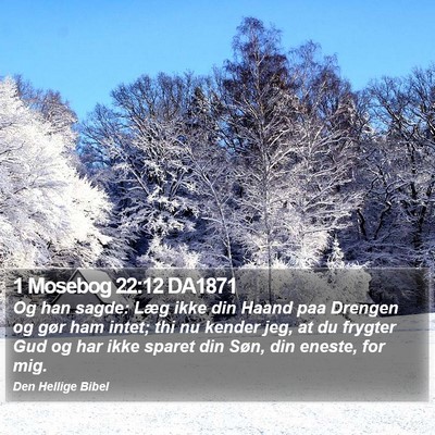 1 Mosebog 22:12 DA1871 Bible Verse Image