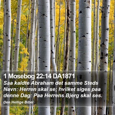 1 Mosebog 22:14 DA1871 Bible Verse Image