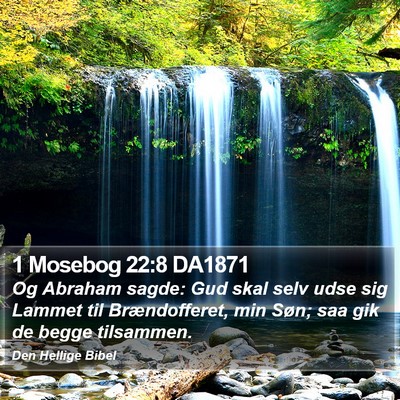 1 Mosebog 22:8 DA1871 Bible Verse Image