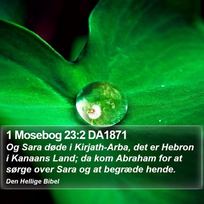 1 Mosebog 23:2 DA1871 Bible Verse Image