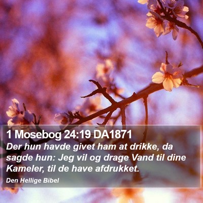 1 Mosebog 24:19 DA1871 Bible Verse Image