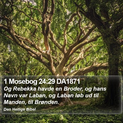 1 Mosebog 24:29 DA1871 Bible Verse Image