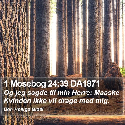 1 Mosebog 24:39 DA1871 Bible Verse Image