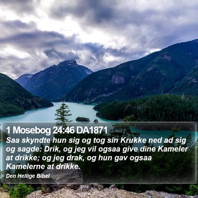 1 Mosebog 24:46 DA1871 Bible Verse Image