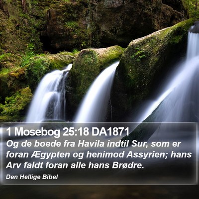 1 Mosebog 25:18 DA1871 Bible Verse Image