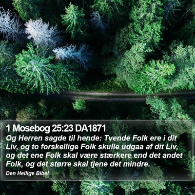 1 Mosebog 25:23 DA1871 Bible Verse Image
