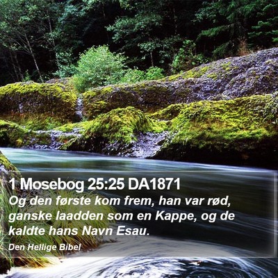 1 Mosebog 25:25 DA1871 Bible Verse Image