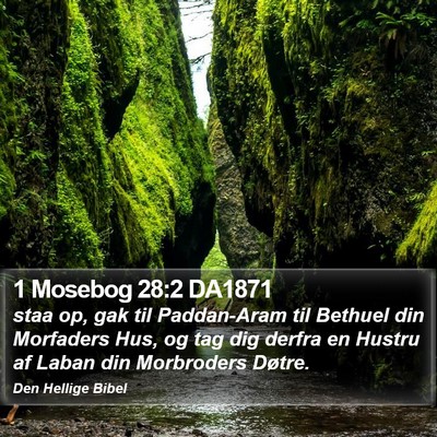 1 Mosebog 28:2 DA1871 Bible Verse Image