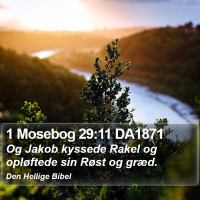1 Mosebog 29:11 DA1871 Bible Verse Image