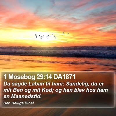1 Mosebog 29:14 DA1871 Bible Verse Image