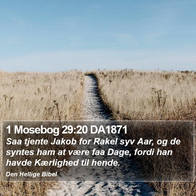1 Mosebog 29:20 DA1871 Bible Verse Image