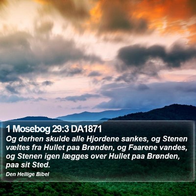1 Mosebog 29:3 DA1871 Bible Verse Image