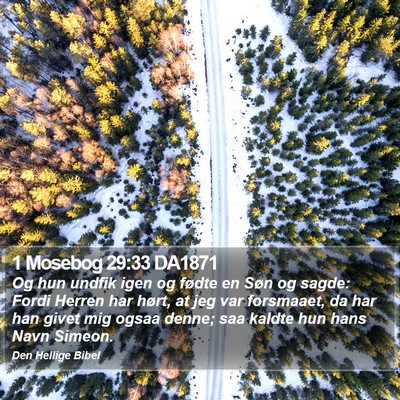 1 Mosebog 29:33 DA1871 Bible Verse Image