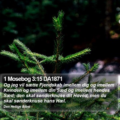 1 Mosebog 3:15 DA1871 Bible Verse Image