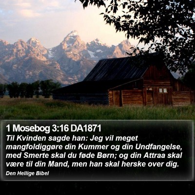 1 Mosebog 3:16 DA1871 Bible Verse Image