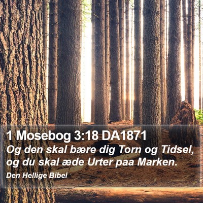 1 Mosebog 3:18 DA1871 Bible Verse Image