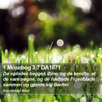 1 Mosebog 3:7 DA1871 Bible Verse Image