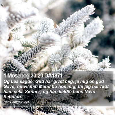 1 Mosebog 30:20 DA1871 Bible Verse Image