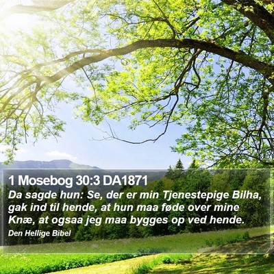 1 Mosebog 30:3 DA1871 Bible Verse Image