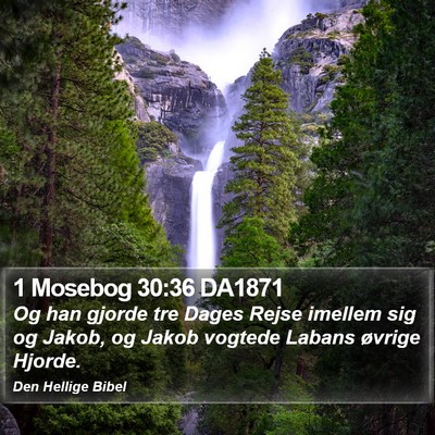1 Mosebog 30:36 DA1871 Bible Verse Image