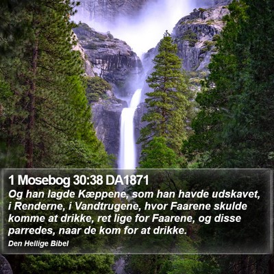 1 Mosebog 30:38 DA1871 Bible Verse Image