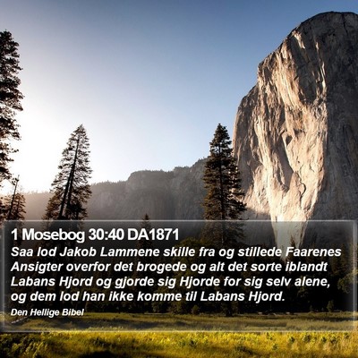 1 Mosebog 30:40 DA1871 Bible Verse Image