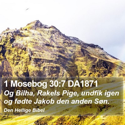 1 Mosebog 30:7 DA1871 Bible Verse Image