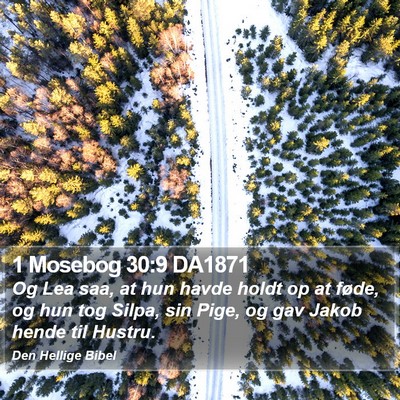 1 Mosebog 30:9 DA1871 Bible Verse Image