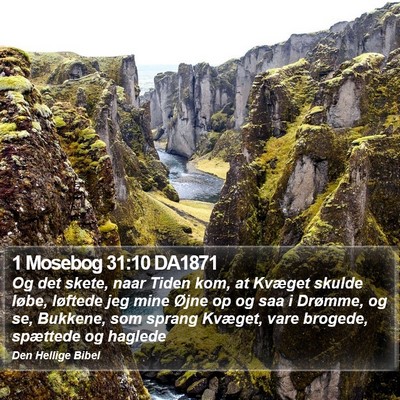 1 Mosebog 31:10 DA1871 Bible Verse Image