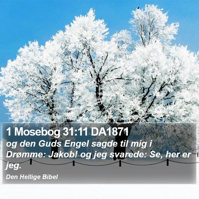 1 Mosebog 31:11 DA1871 Bible Verse Image