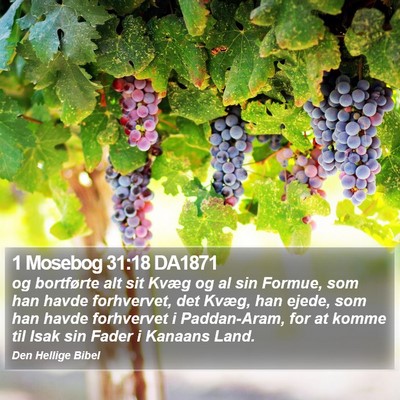 1 Mosebog 31:18 DA1871 Bible Verse Image