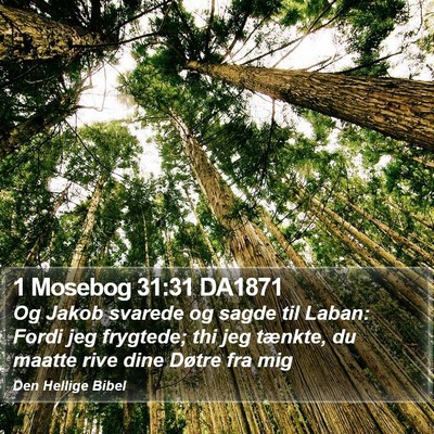 1 Mosebog 31:31 DA1871 Bible Verse Image