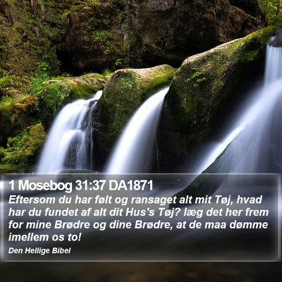 1 Mosebog 31:37 DA1871 Bible Verse Image